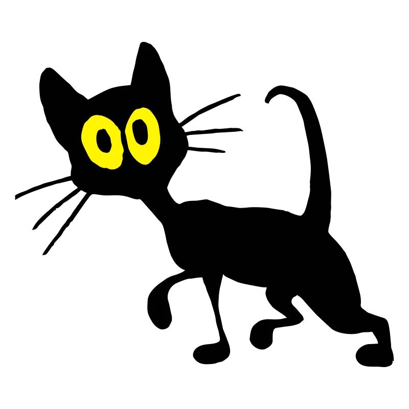 chat noir