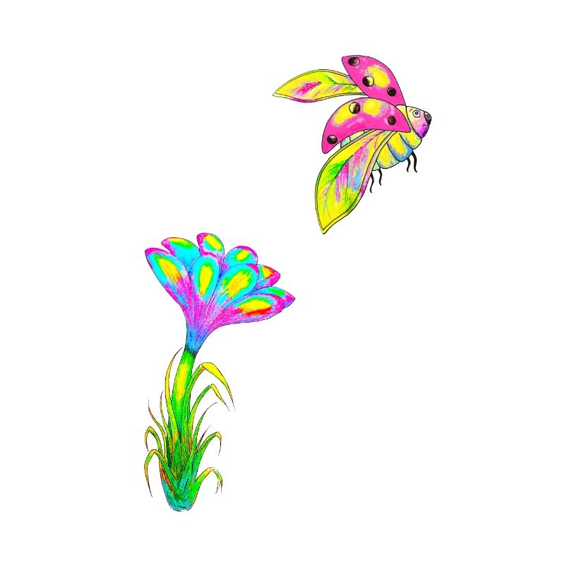 Coccinelle fleur dessinés à la main