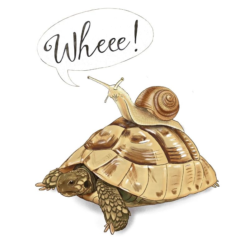 Joyride with turtle and snail (english)