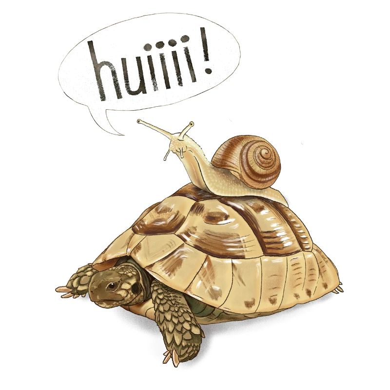Escargot dans la course de vitesse - tortue