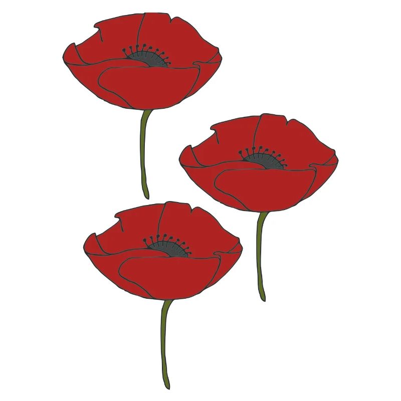 mohnblumen