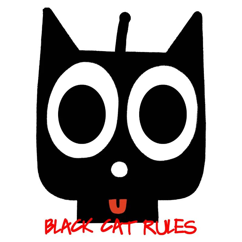 chat noir