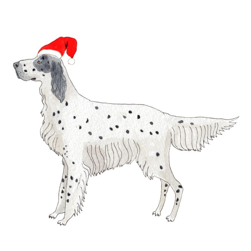 Setter anglais Fundogs Noël