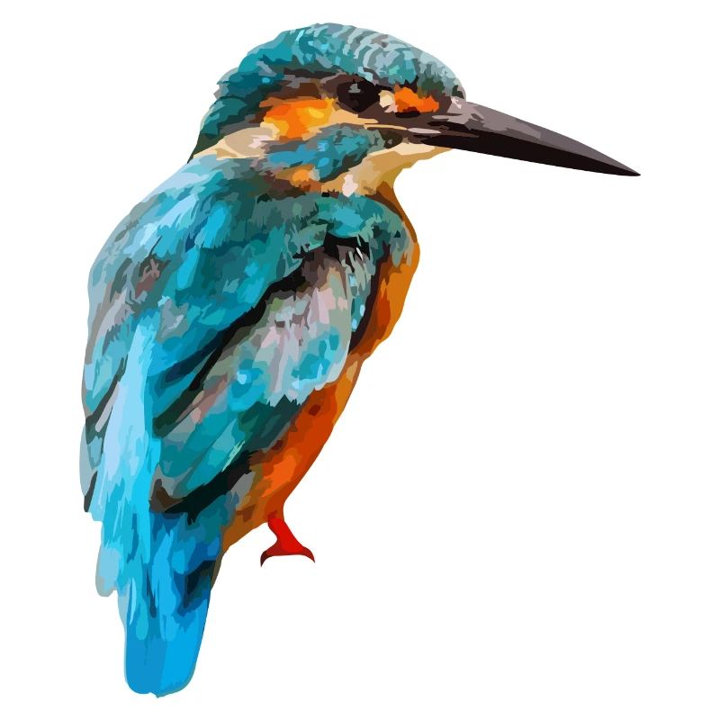 martin-pêcheur