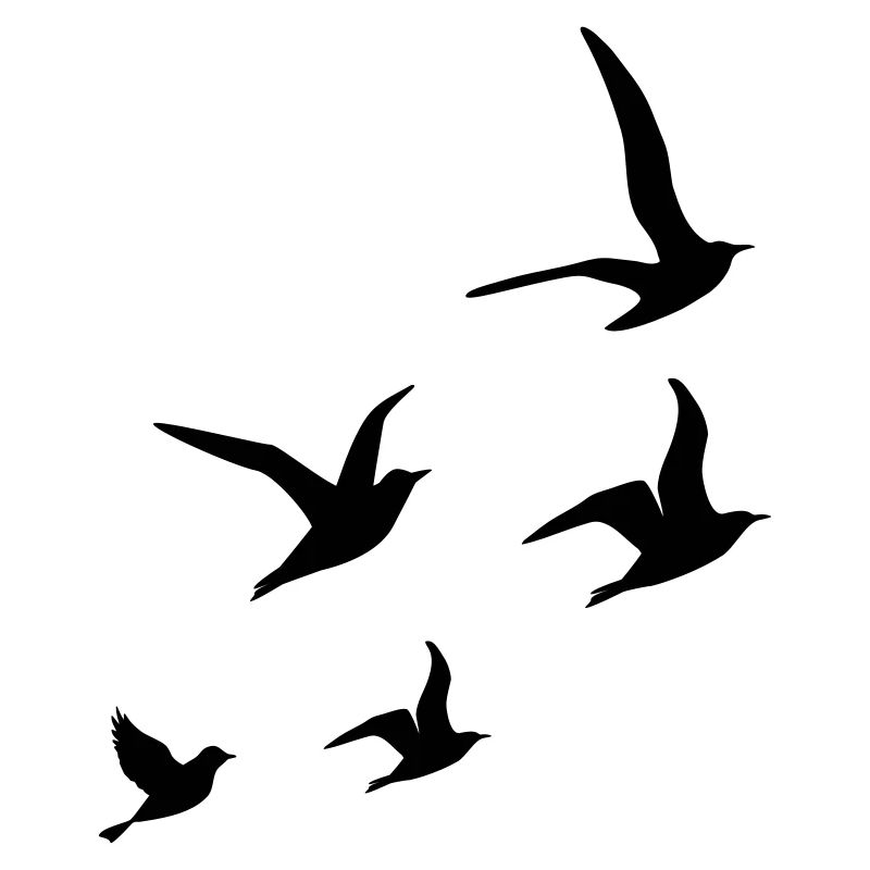 Flying Swallows