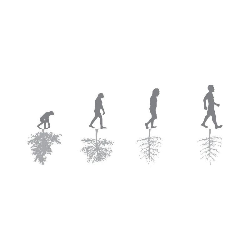 Evolution - Umwelt - Sarkasmus - Natur - Geschenk