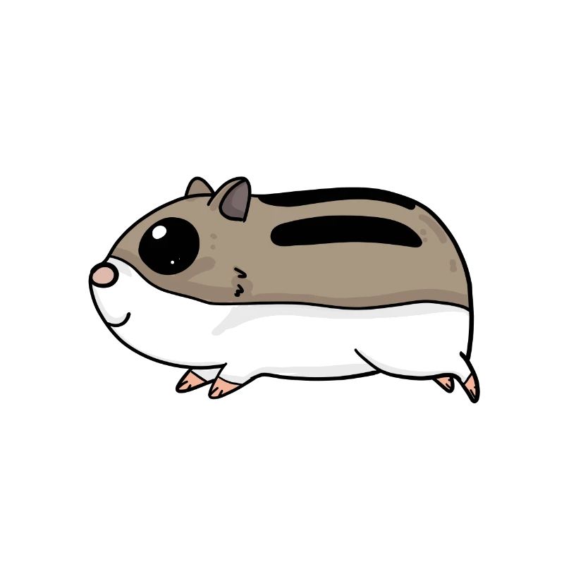 Hamster mignon