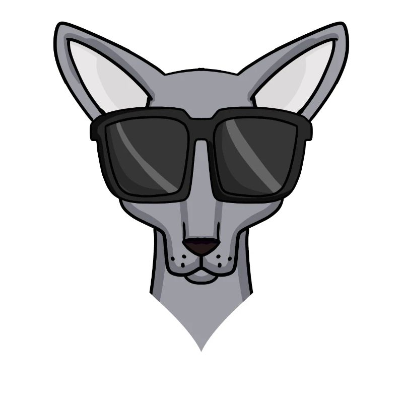 Chat Sphynx avec lunettes de soleil