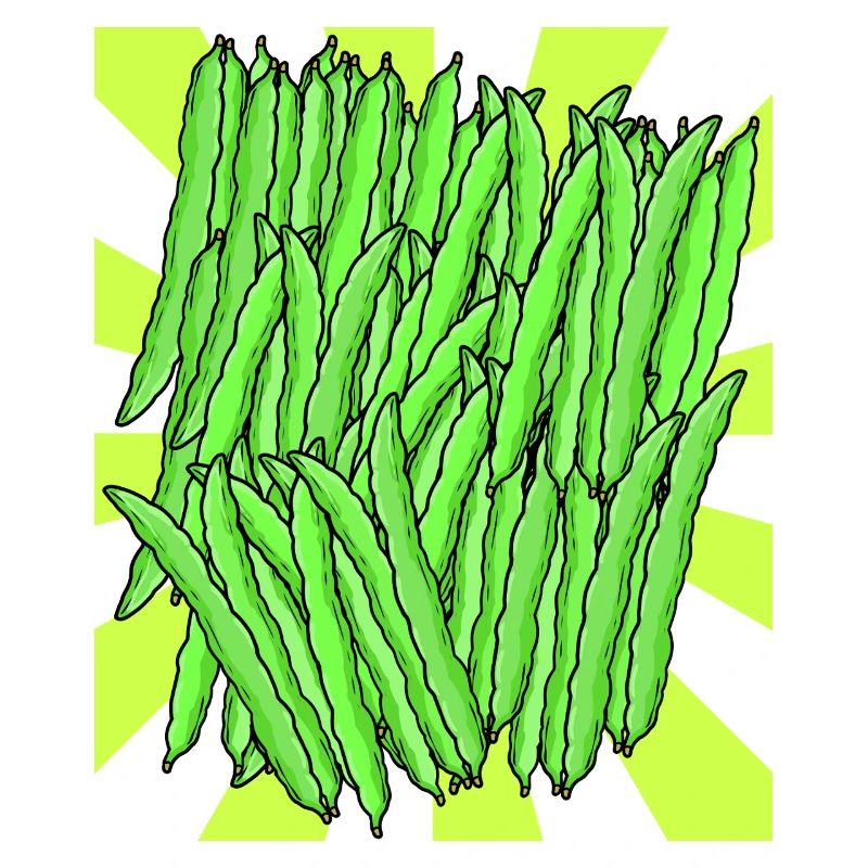 Green Bean Bean Vegetable Retro Vintage