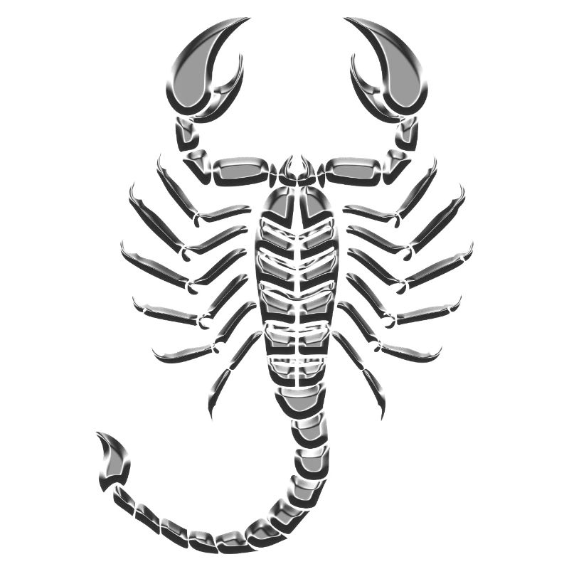 Scorpion metallic chrome
