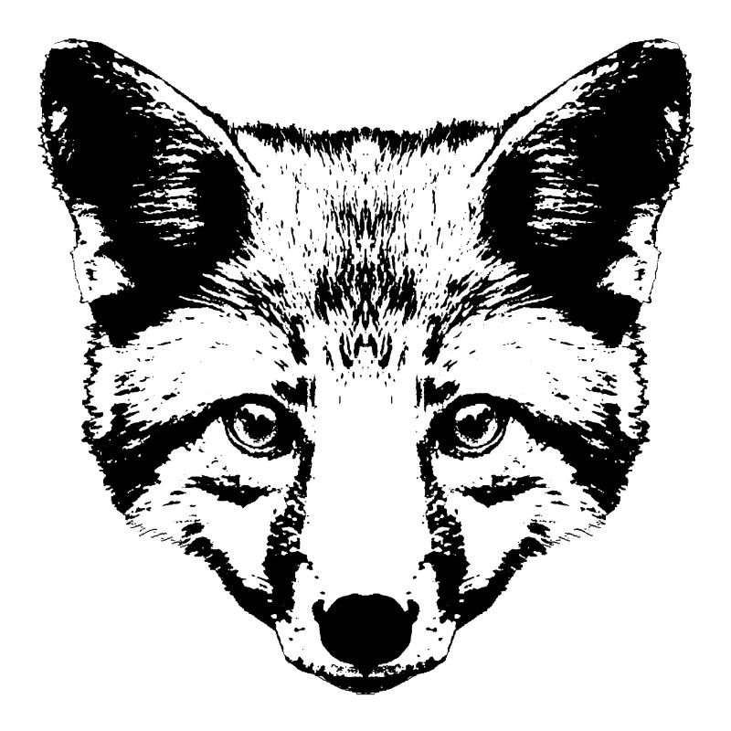 Fox Head Graphic