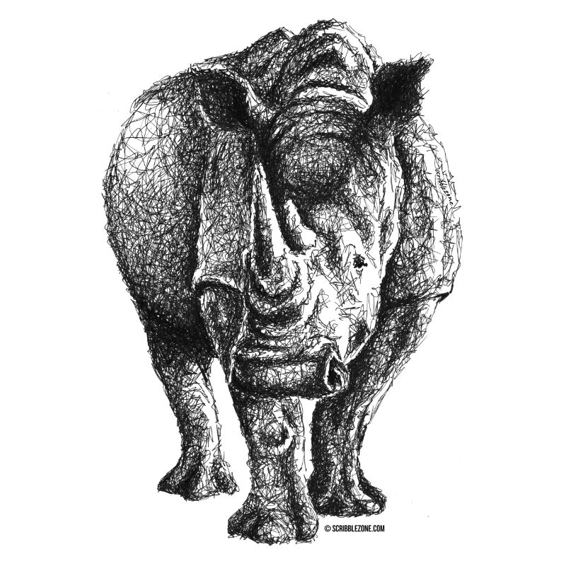 Scribbled Rhino