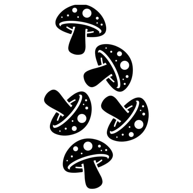 Champignons Champignon Crapaud