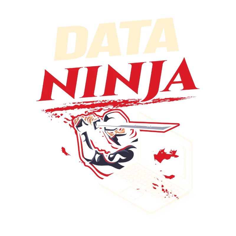 Data Ninja computer programming coder