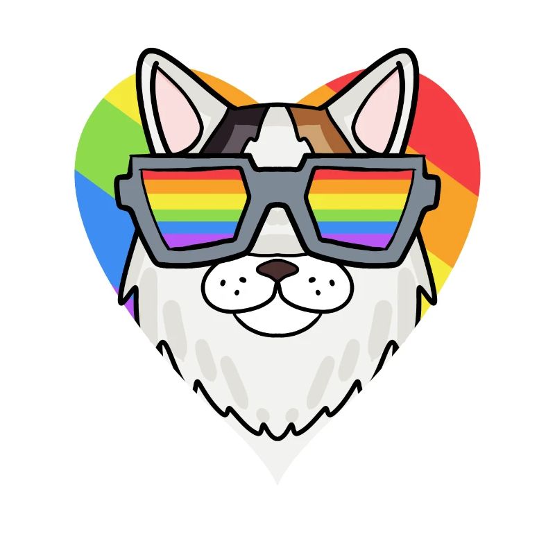Chat LGBT Turc Van Rainbow