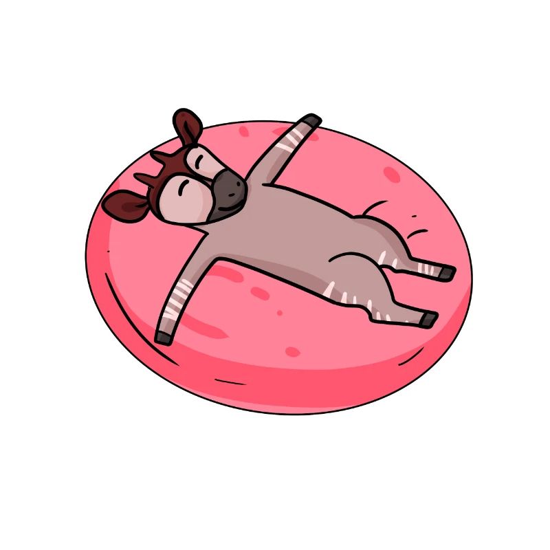 Schlafendes Okapi Waldgiraffe