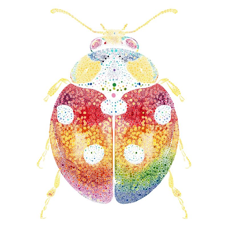 Ladybug Ladybug Insects Colorful Cute Ladybugs
