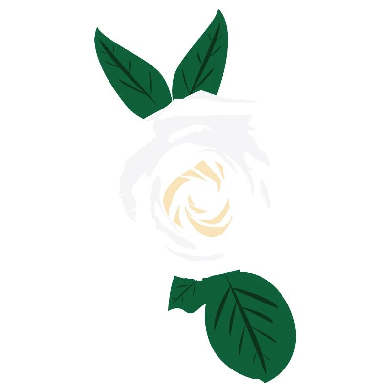 Rose blanche à feuilles vertes