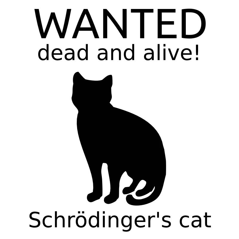 Schrodinger's Cat