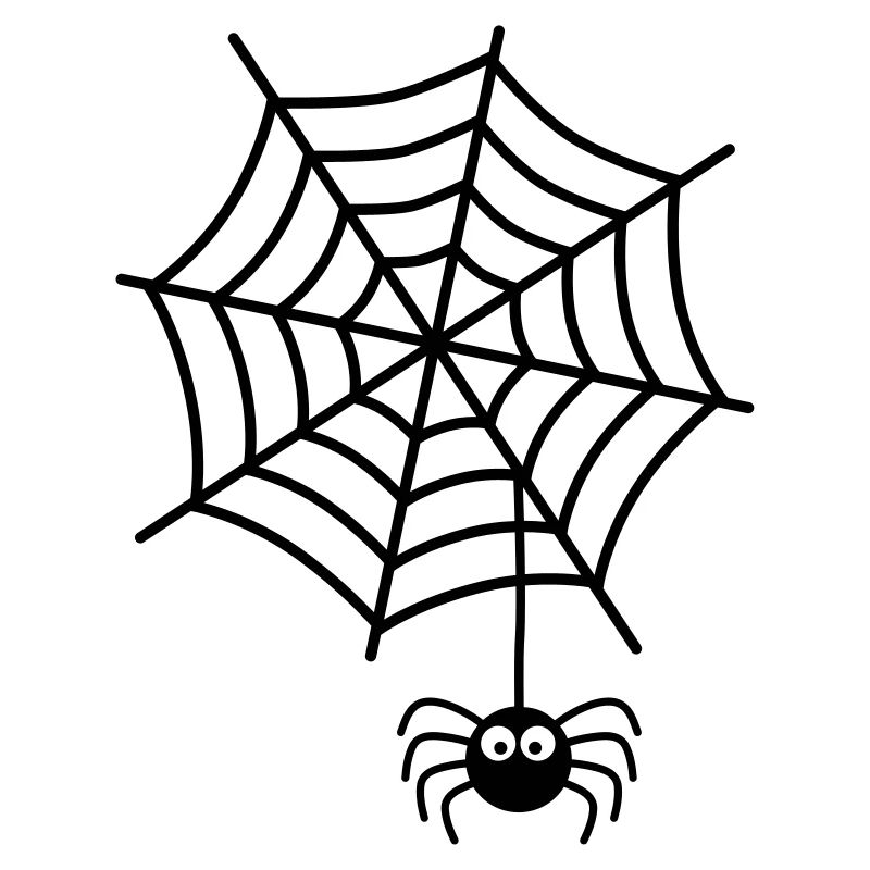 Spiderweb Spider