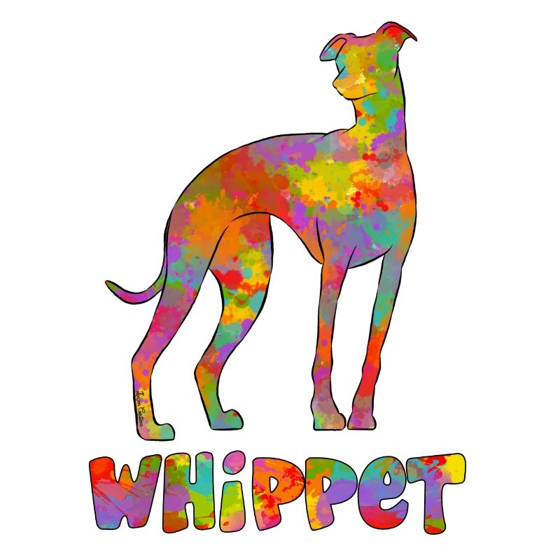 Whippet Multicolore 2