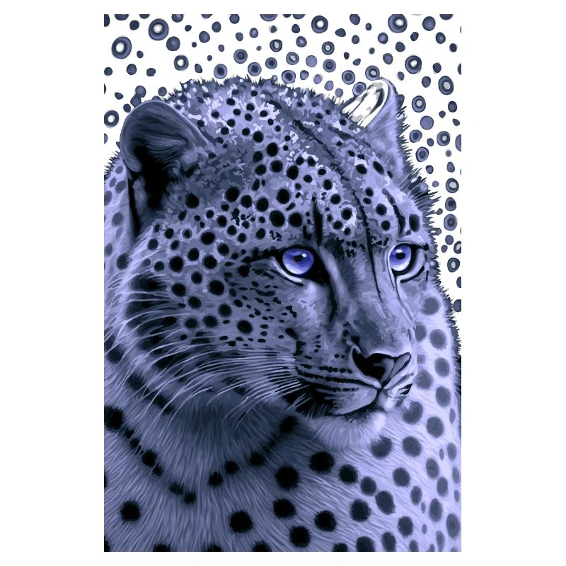 Snow Leopard Blue Eyes