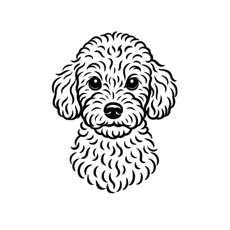 TinyPaws Black & White Edition Pudel Style b