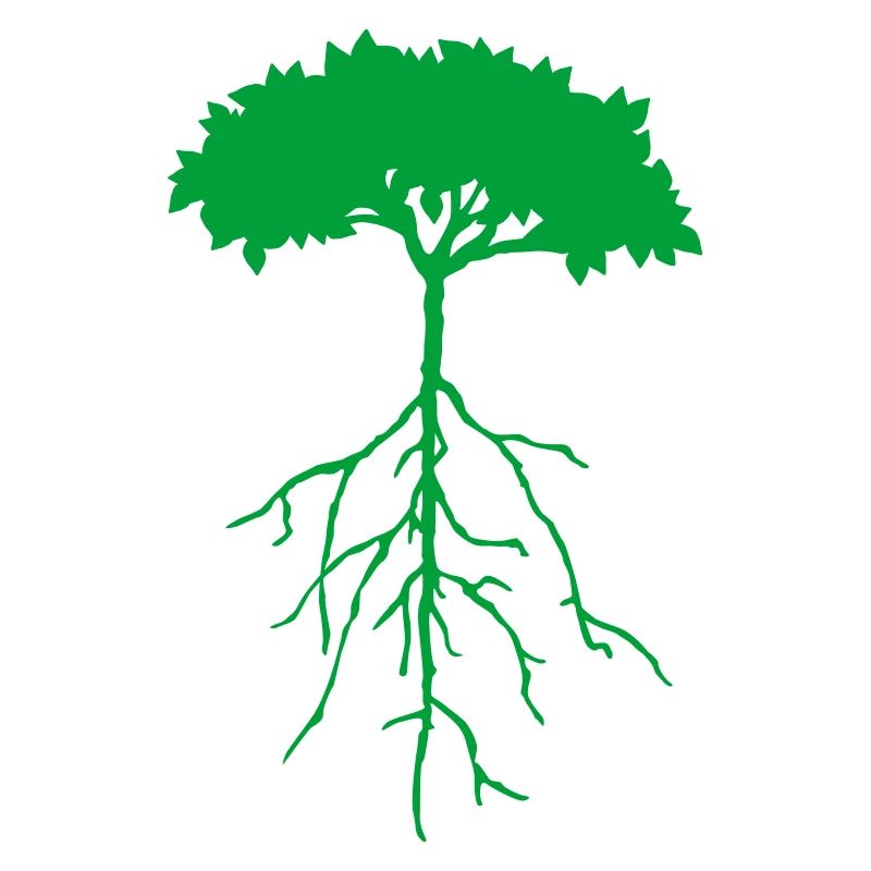 root tree