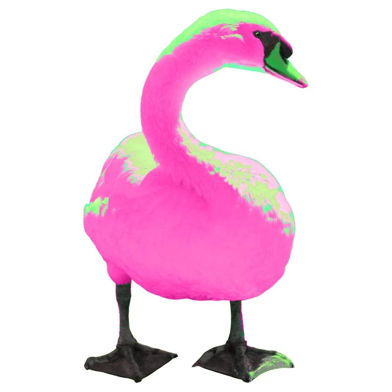 Schwan