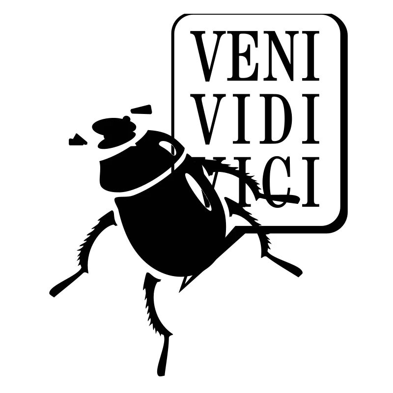 scarabée coléoptère / beetle (2c)