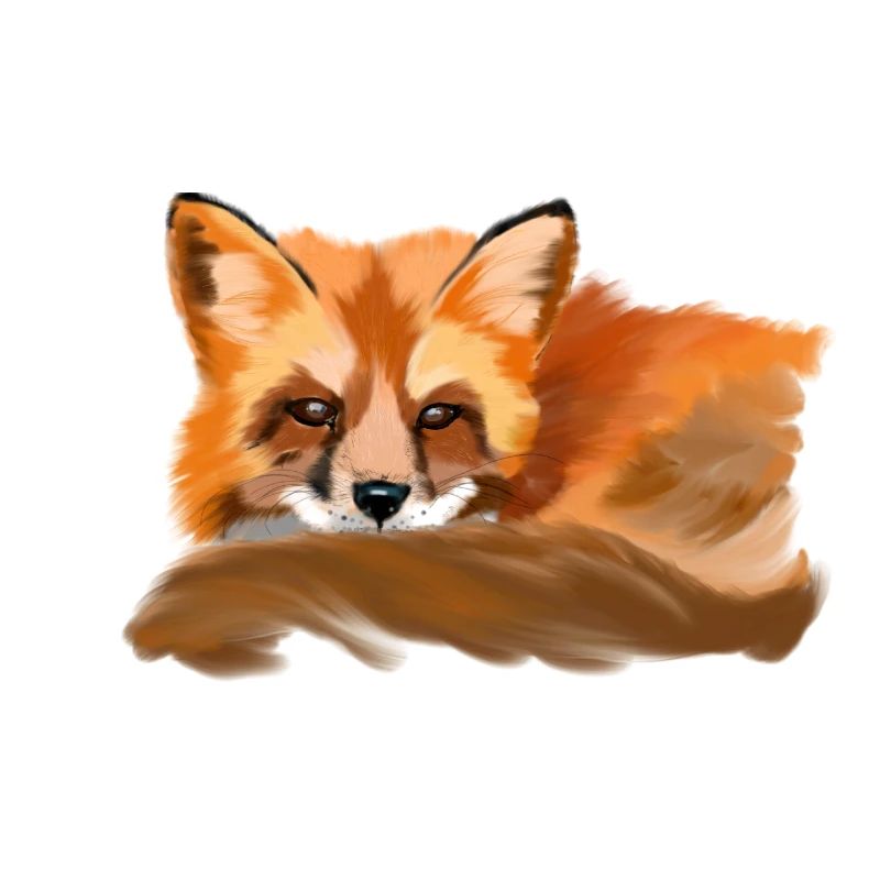 fox