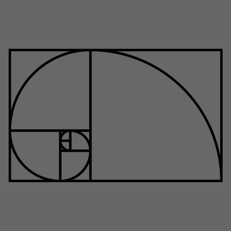 Fibonacci spiral math gift idea nerd