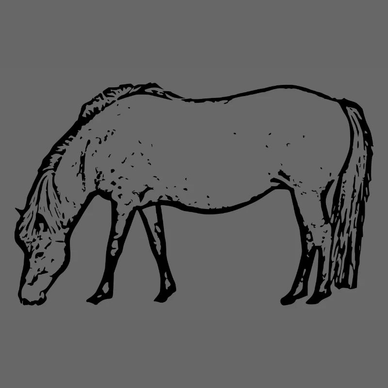 Pferd schwarz