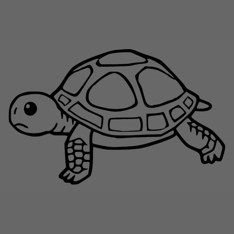 Turtle Turtles
