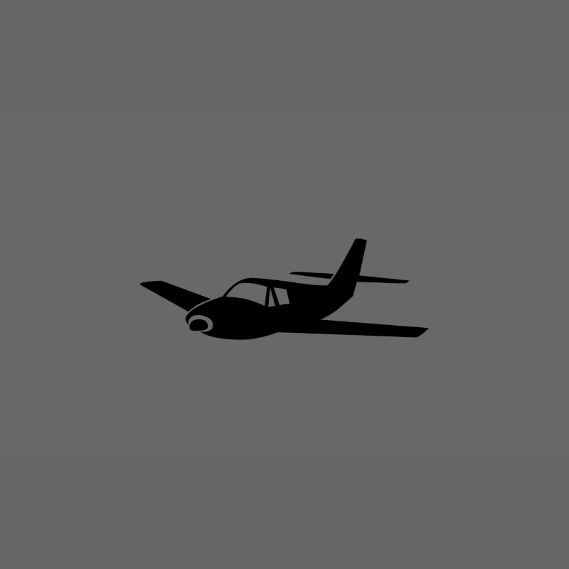 Flugzeug