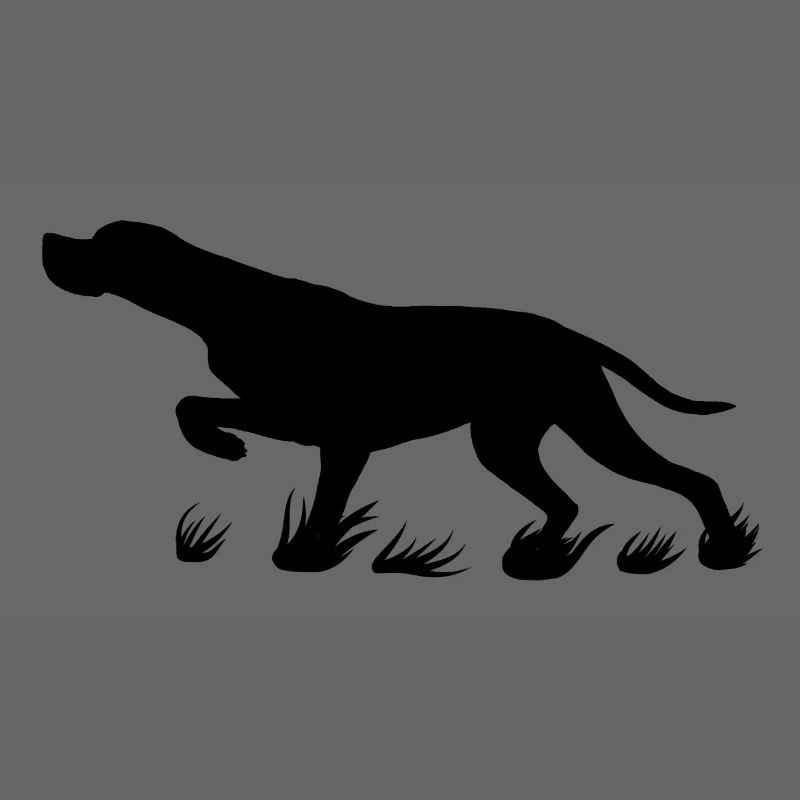 schwarzer Pointer vorstehend