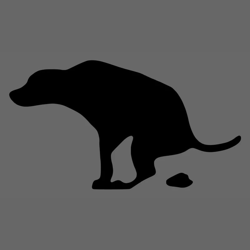 Chien