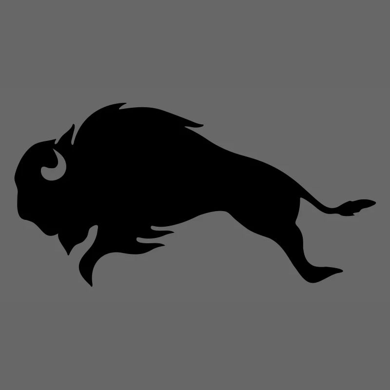 Black Bison BULL