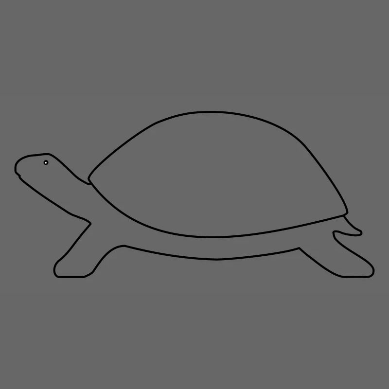 Schildkröte 