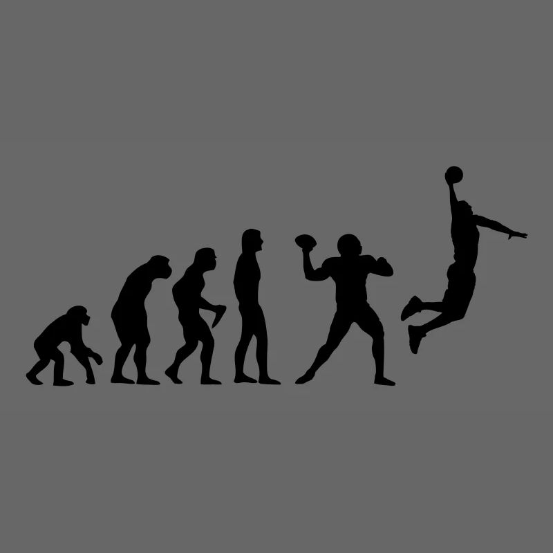 Basket-ball Evolution Basketball Basket