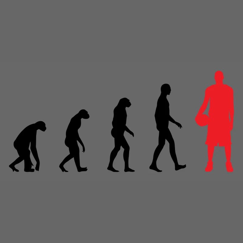 Basket Ball Evolution / Basketball 