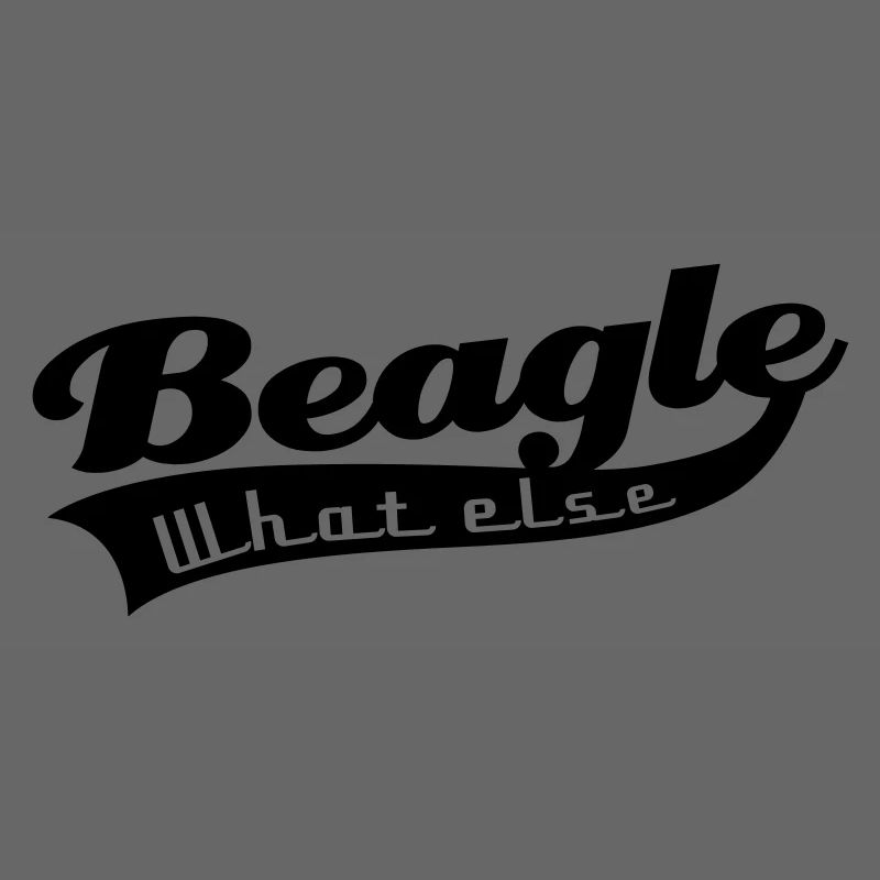 Beagle