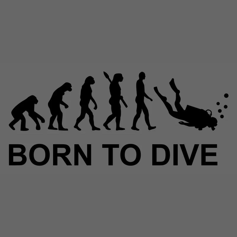 Evolution Tauchen