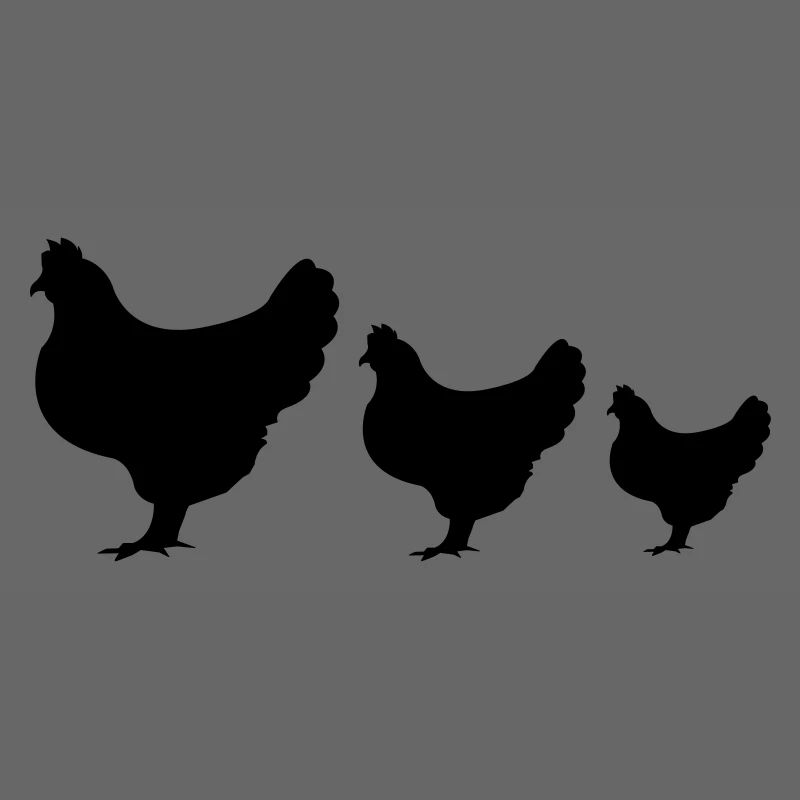 huhn_002
