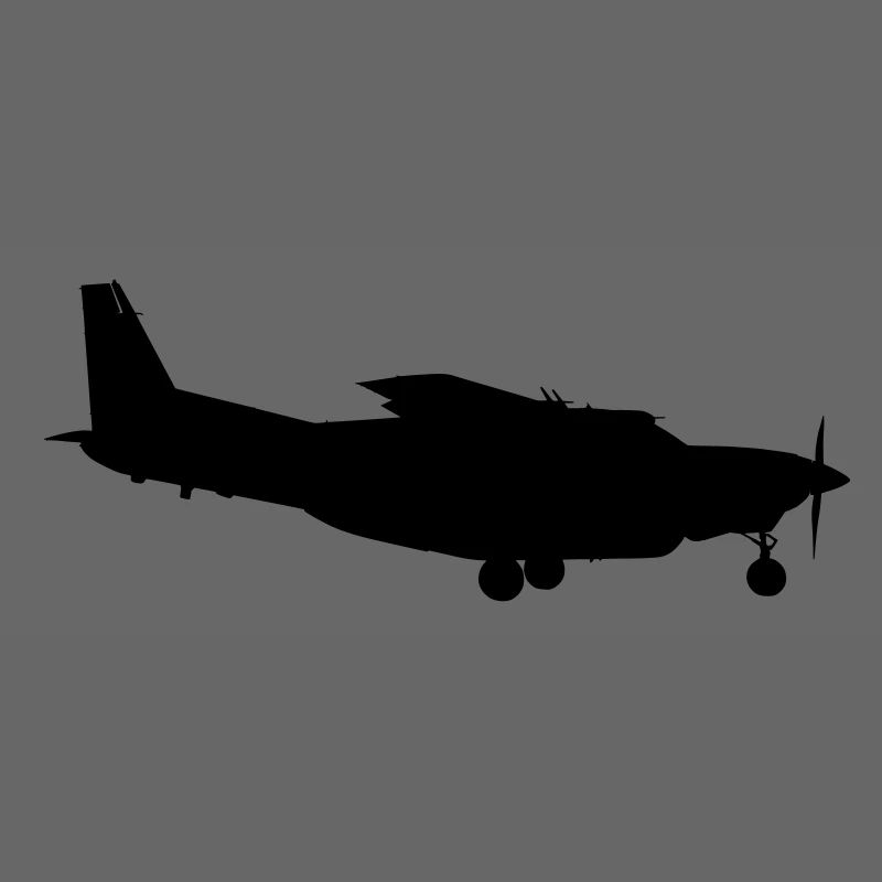 airplane