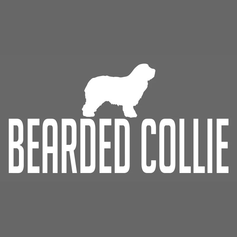 BEARDED COLLIE Hunderasse