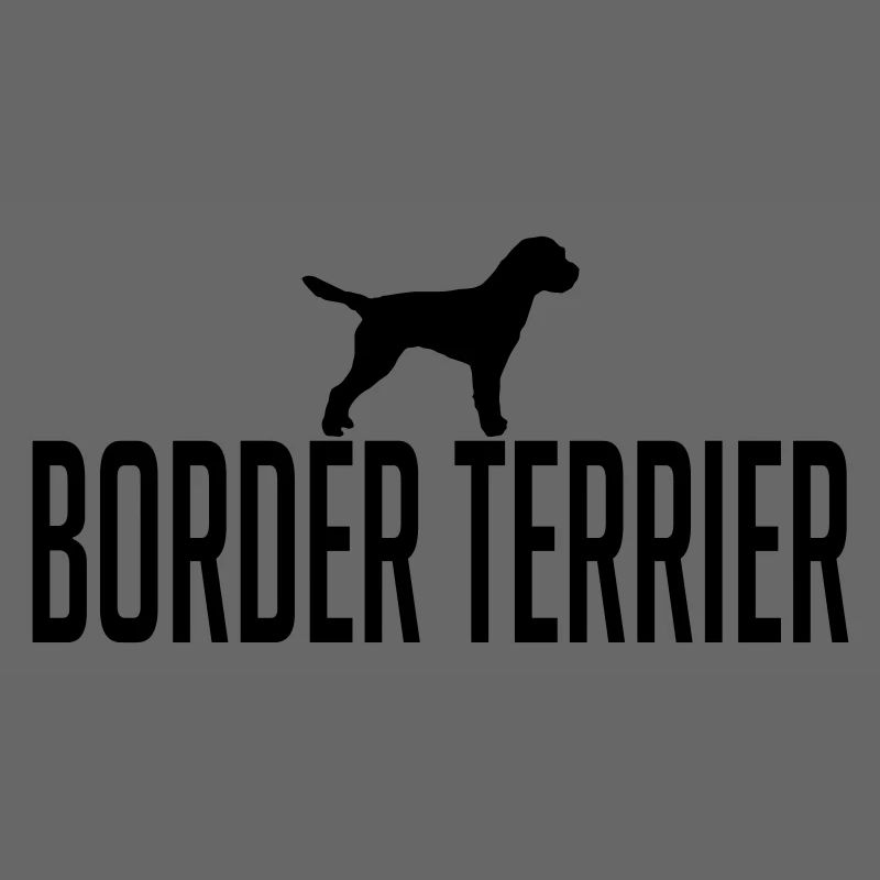 BORDER TERRIER Hunderasse
