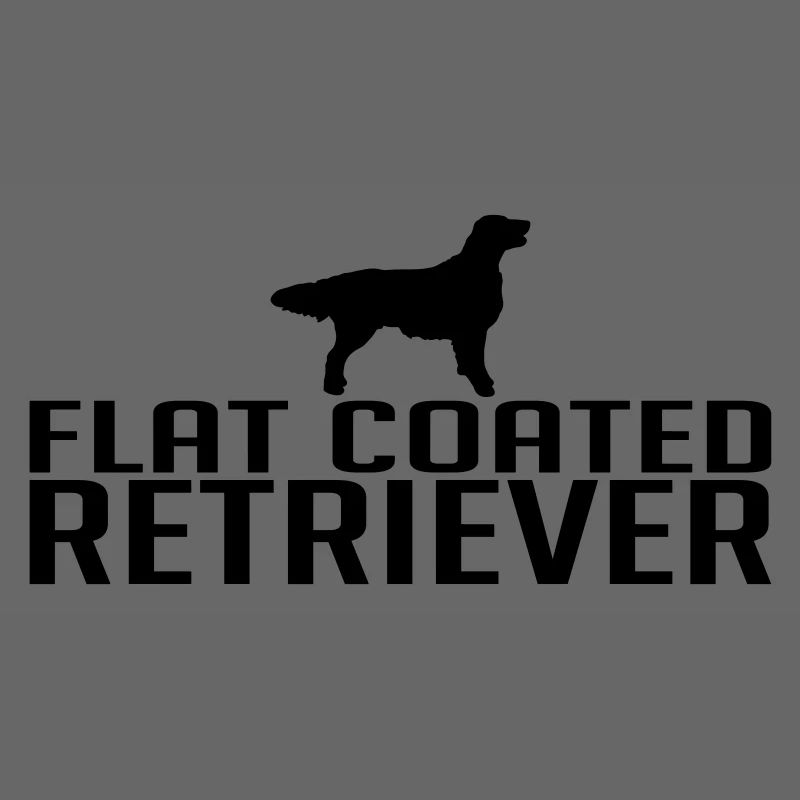 FLAT COATED RETRIEVER dog