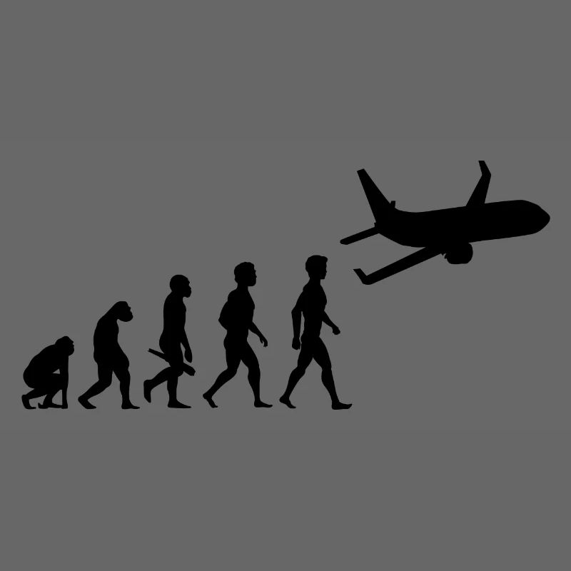 avion volant cockpit aviator pilote d'évolution