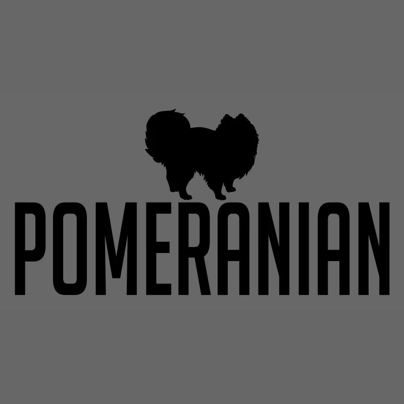 POMERANIAN Hunderasse